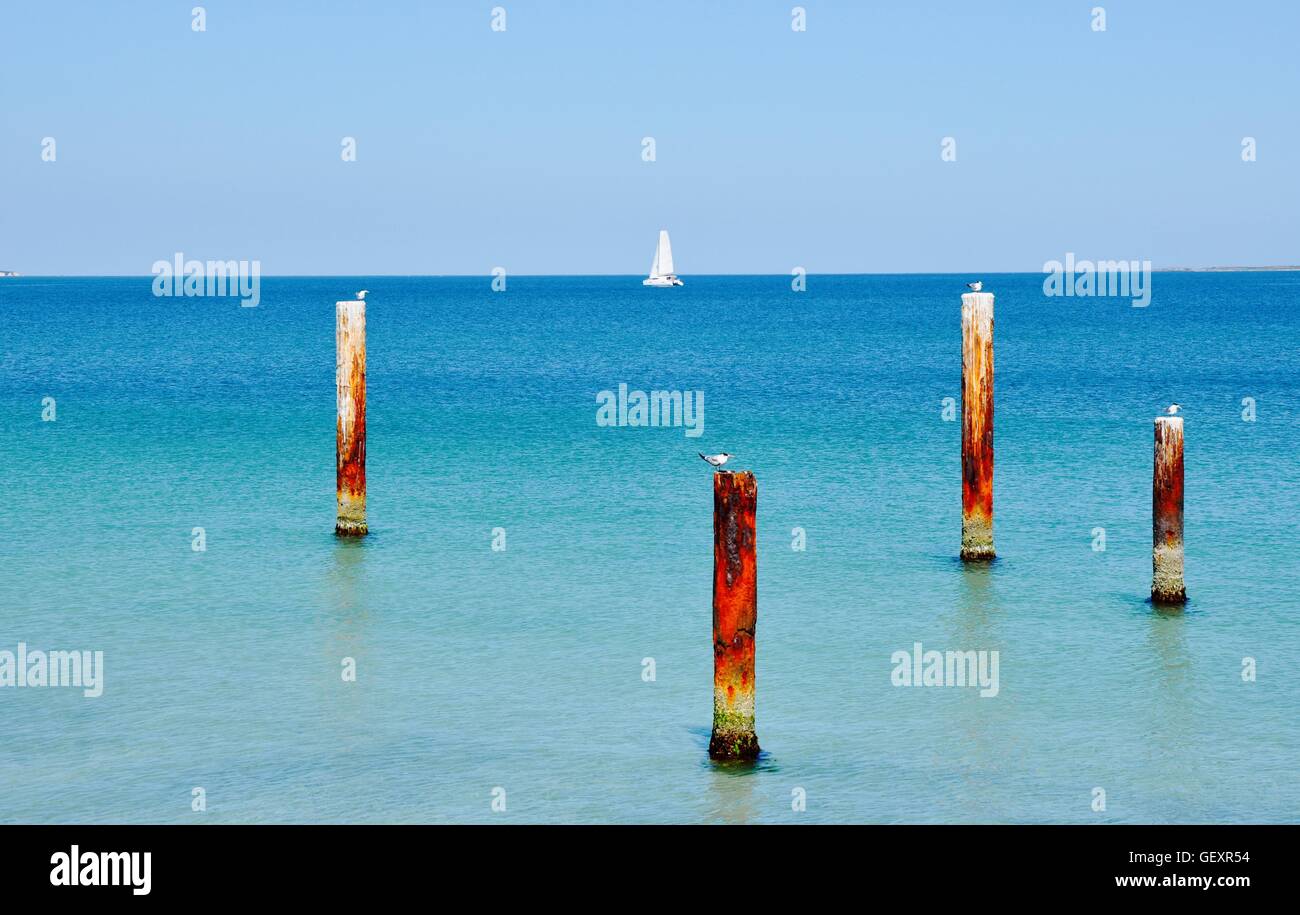 Four rusty Indian Ocean pilings with coastal birds and white sailboat in the calm waters at Coogee Beach in Western Australia. Stock Photo