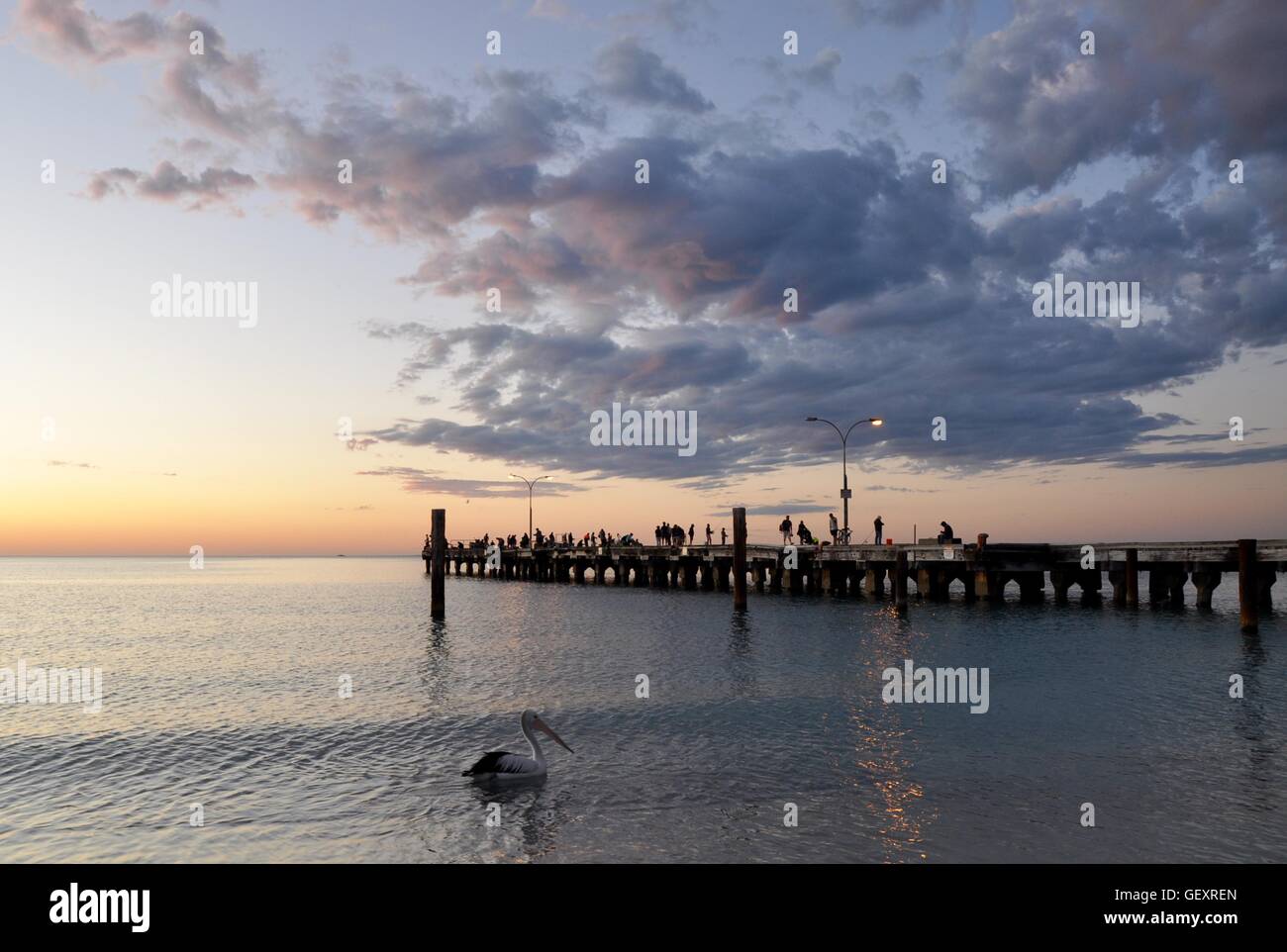 Coogee,WA,Australia-October 25,2015:Jetty,fisherman in silhouette, and pelican at sunset in the Indian Ocean at Coogee Beach,Coogee,Western Australia Stock Photo