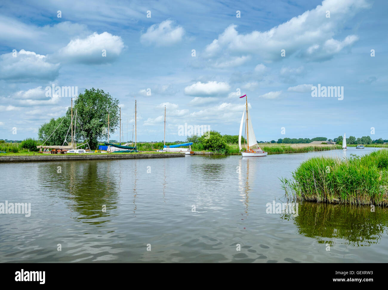 Sailing boats on the river Thurne. Stock Photo
