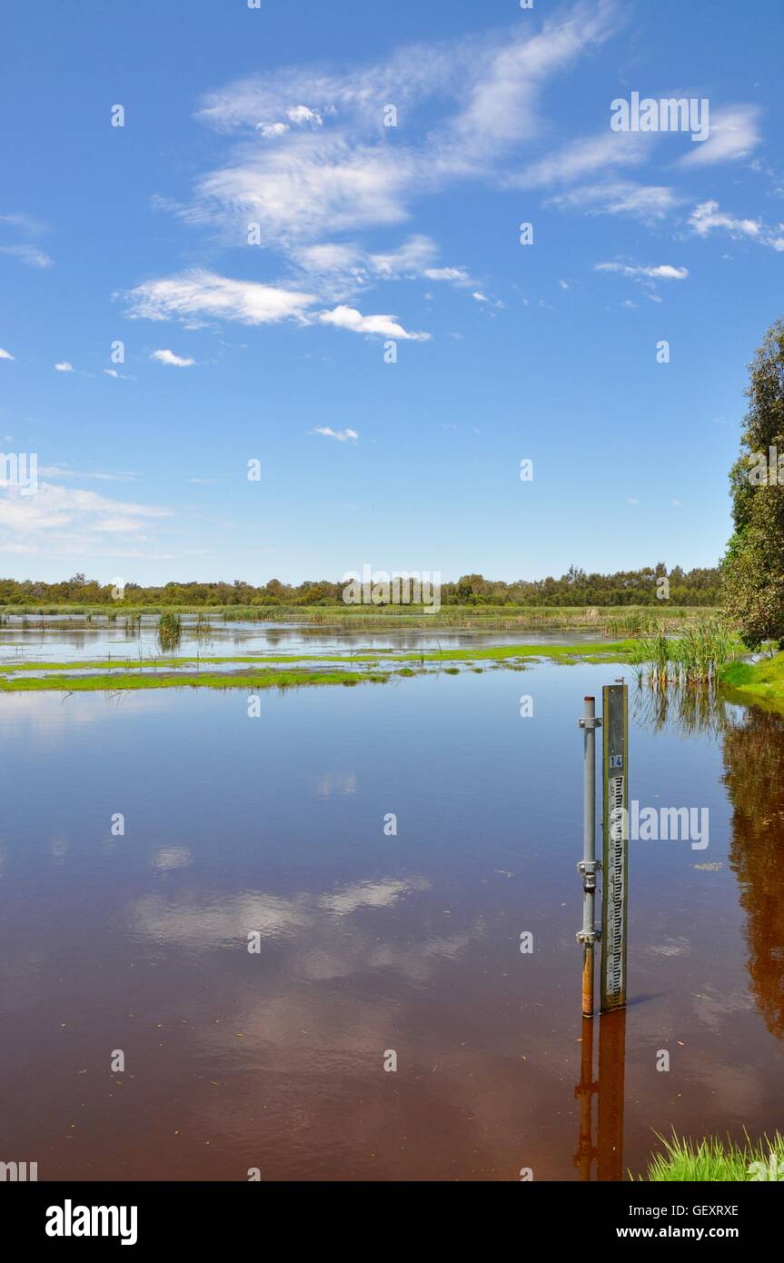 Water measurement tool in the peaceful Beelier Wetlands with lush greenery,mudflats and grasses in Bibra Lake, Western Australia Stock Photo