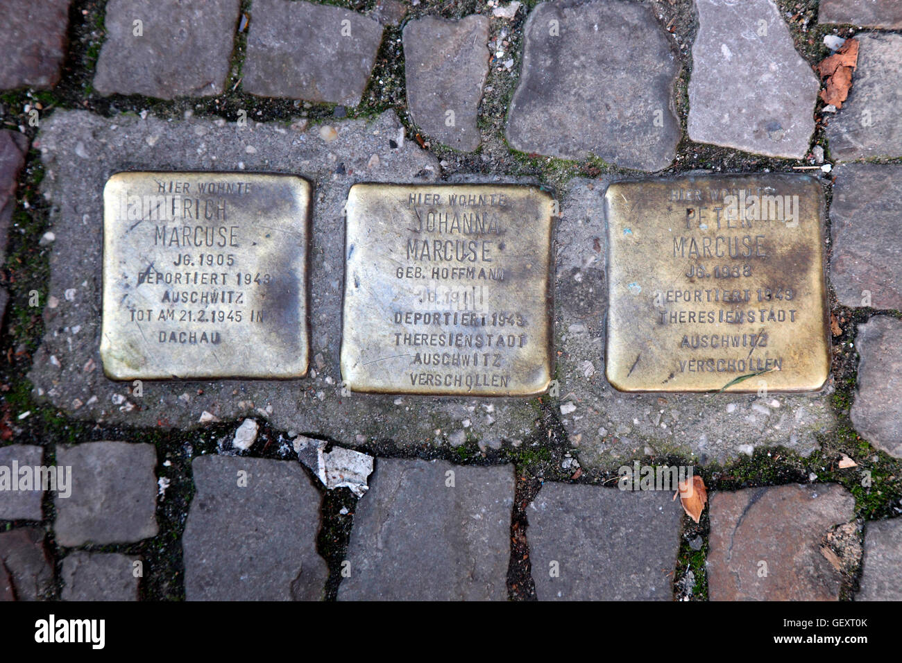 Three of many brass memorials set in the pavement in Hackescher in Berlin to commemorate Jewish Holocaust victims. Stock Photo