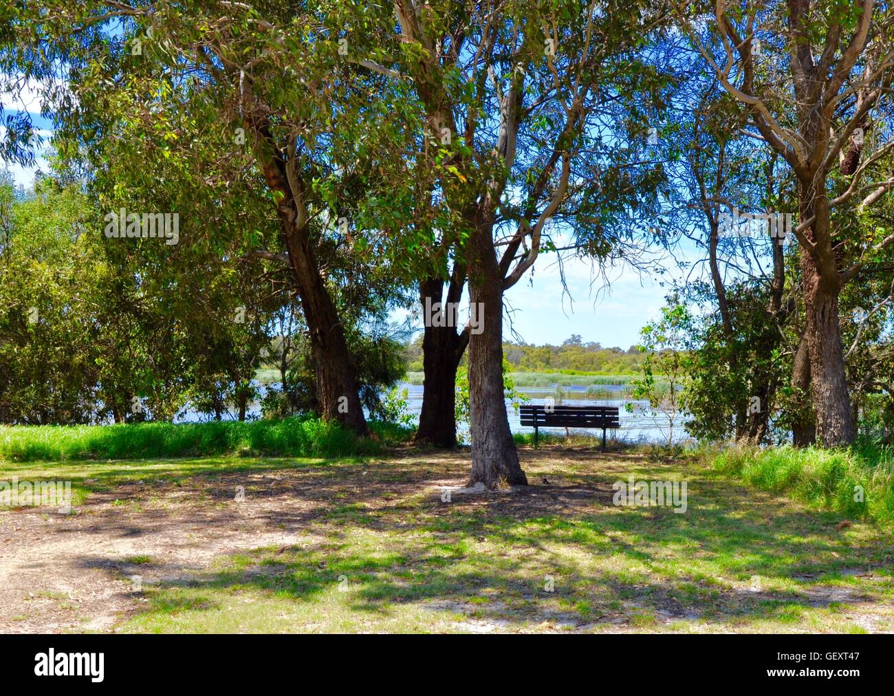 Bench in peaceful spot in the Bibra Lake wetland area with lake view and native plants in Western Australia. Stock Photo