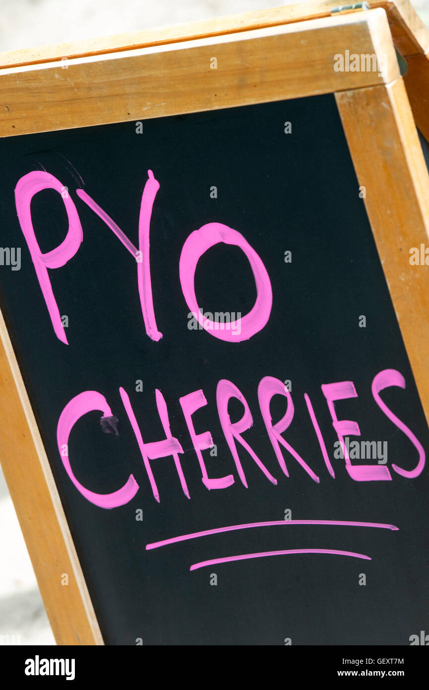 Prunus. PYO Cherries sign at an English pick your own farm Stock Photo