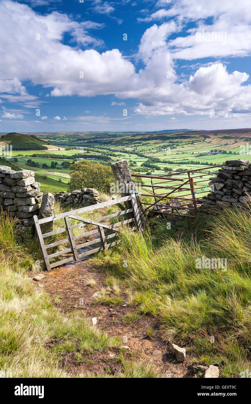 A gate on the edge of Danby Dale on the North York moors. Stock Photo
