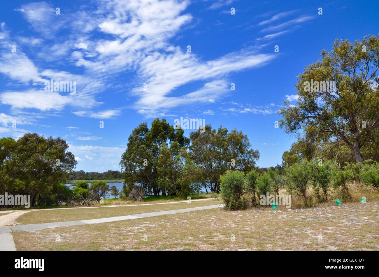 Pedestrian paths through the Bibra Lake reserve with lake, tall trees and fresh plantings under a blue sky in Western Australia. Stock Photo