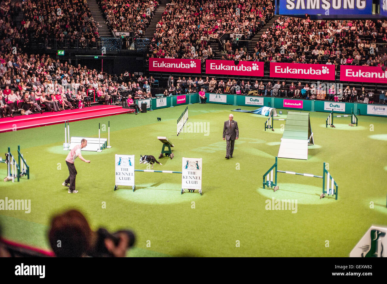The Crufts Dog Show held every year at the NEC exhibition venue in Birmingham. Stock Photo