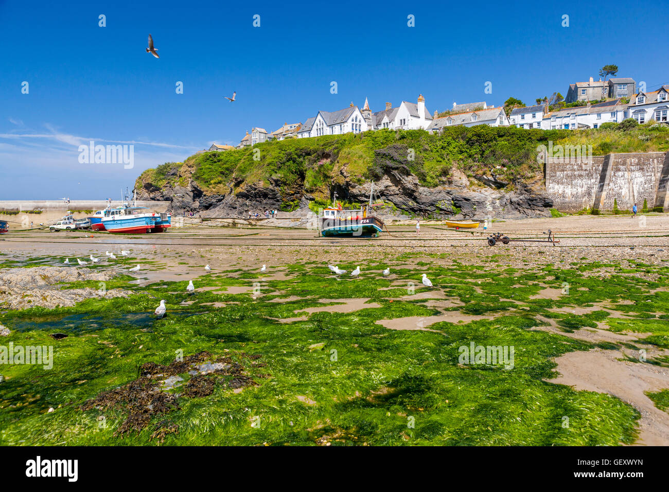 St Endellion Hi res Stock Photography And Images Alamy st-endellion-hi-res-stock-photography-and-images-alamy