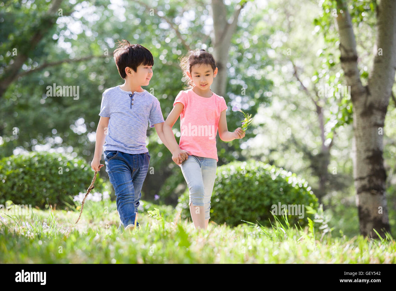 Happy Chinese children holding hands walking in woods Stock Photo - Alamy