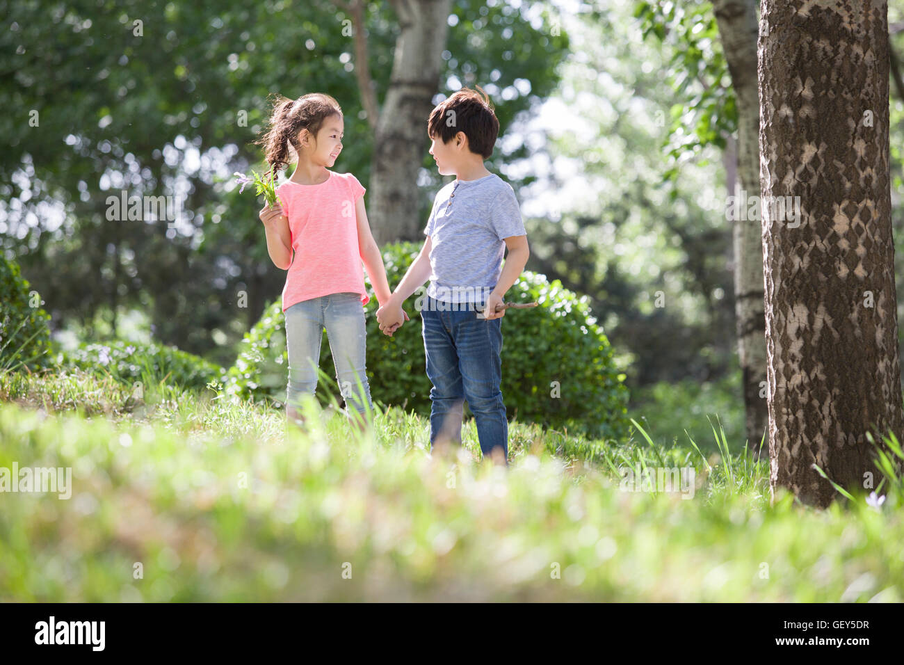 Happy Chinese children holding hands walking in woods Stock Photo - Alamy