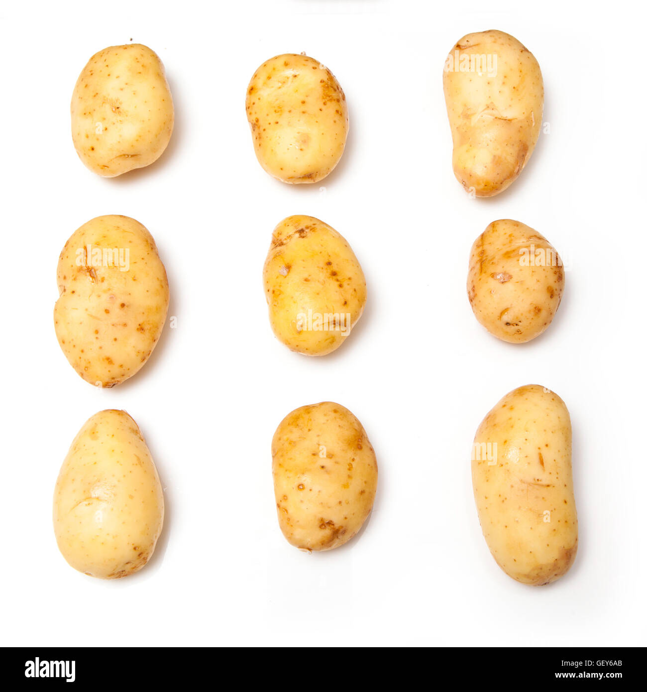 White potatoes isolated on a white studio background. Stock Photo