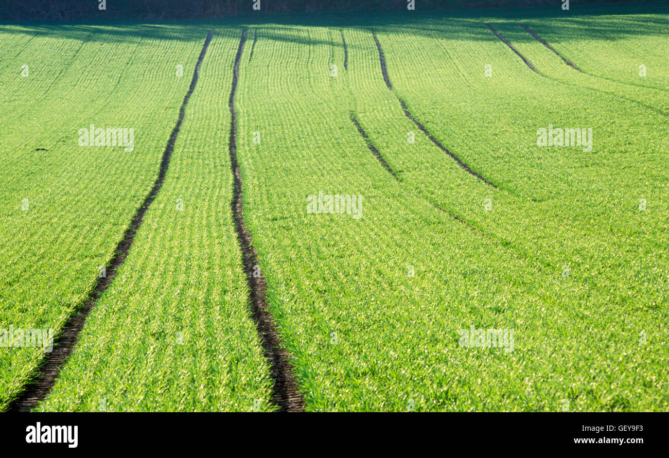 Acre field hi-res stock photography and images - Alamy