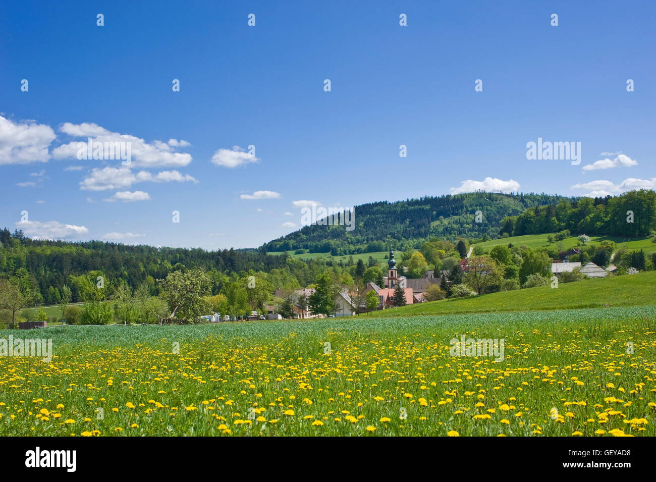 geography / travel, Germany, Baden-Wuerttemberg, Moosbronn, townscape with pilgrimage church Our Lady of Perpetual Succour, Stock Photo