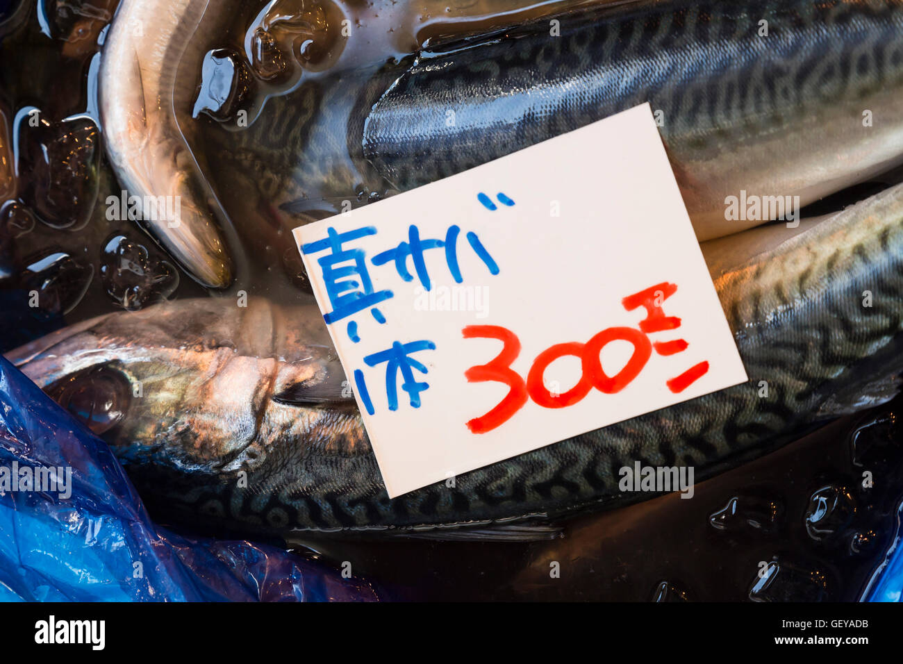 Closeup of fresh fish with price tag at a Japanese seafood market. Stock Photo