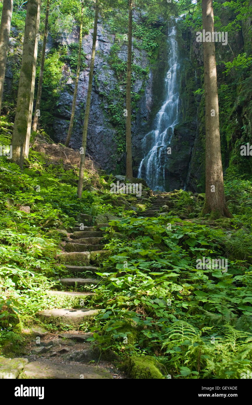geography / travel, Germany, Baden-Wuerttemberg, Bad Rippoldsau, Burgbach waterfall, Black Forest, Stock Photo