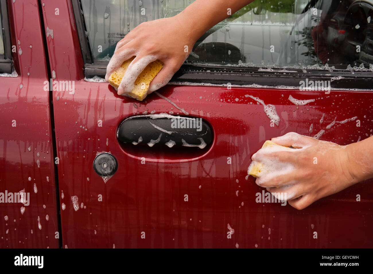The hands of a child washing a car Stock Photo