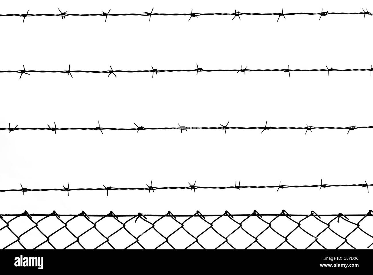 Barbed wire in backlight arranged in parallel lines. Stock Photo