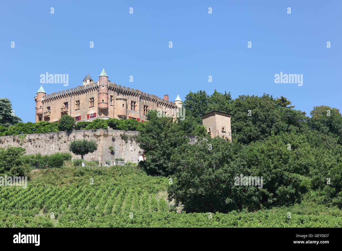Castle of Montmelas in Beaujolais, France Stock Photo