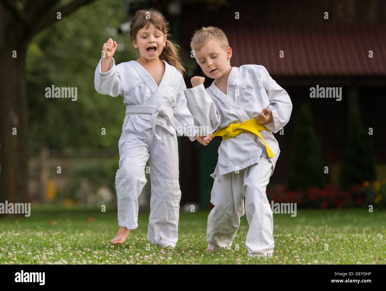 Karate kids martial Arts Stock Photo Alamy