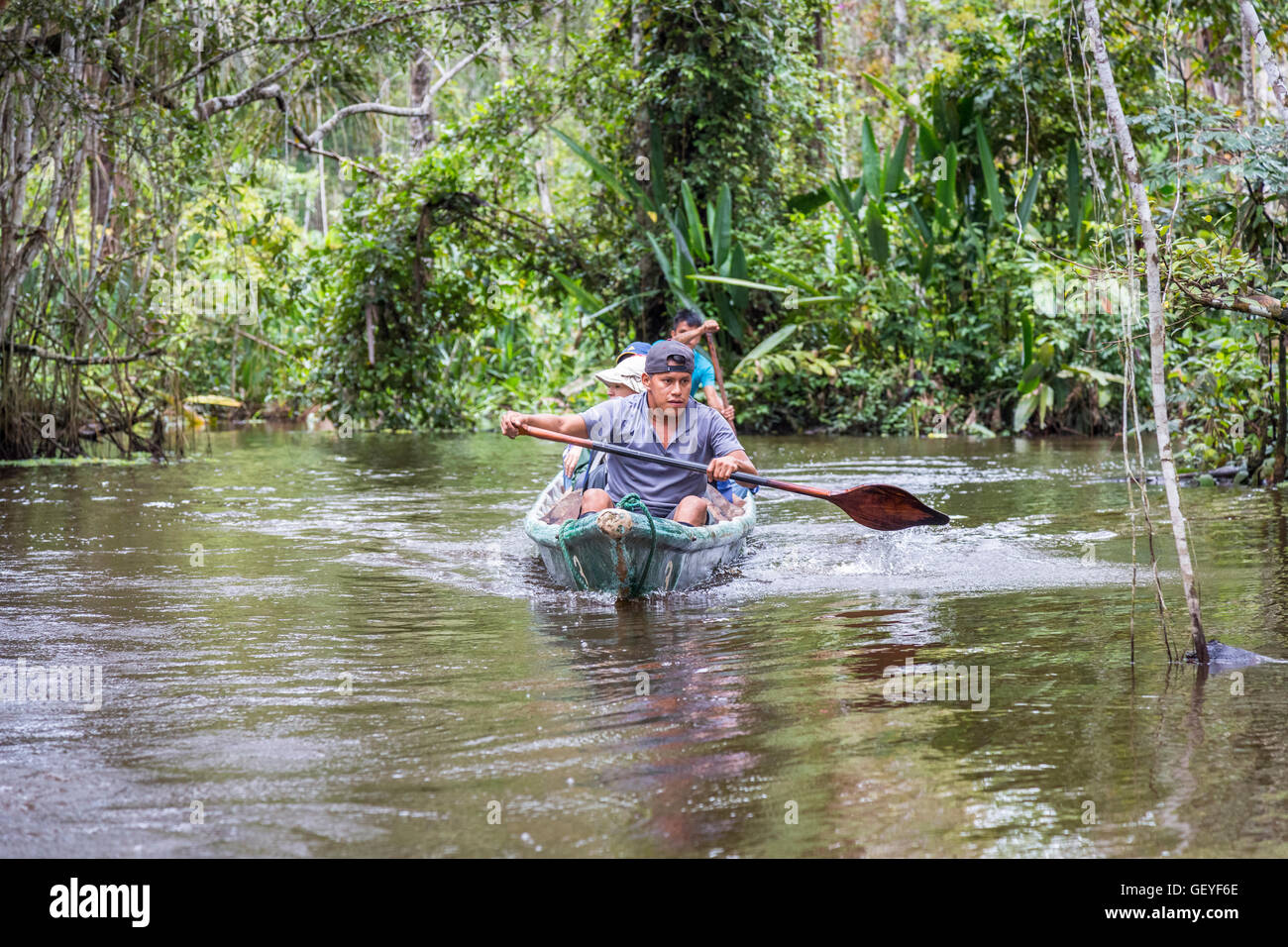 Local guide paddling tourists in a canoe, Amazonian tropical rain forest, La Selva lodge, Napo River, Ecuador, South America Stock Photo