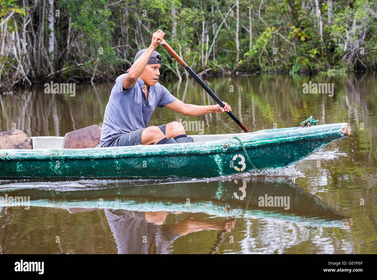 Local guide paddling a canoe, Amazonian tropical rain forest, La Selva lodge, Napo River, Ecuador, South America Stock Photo