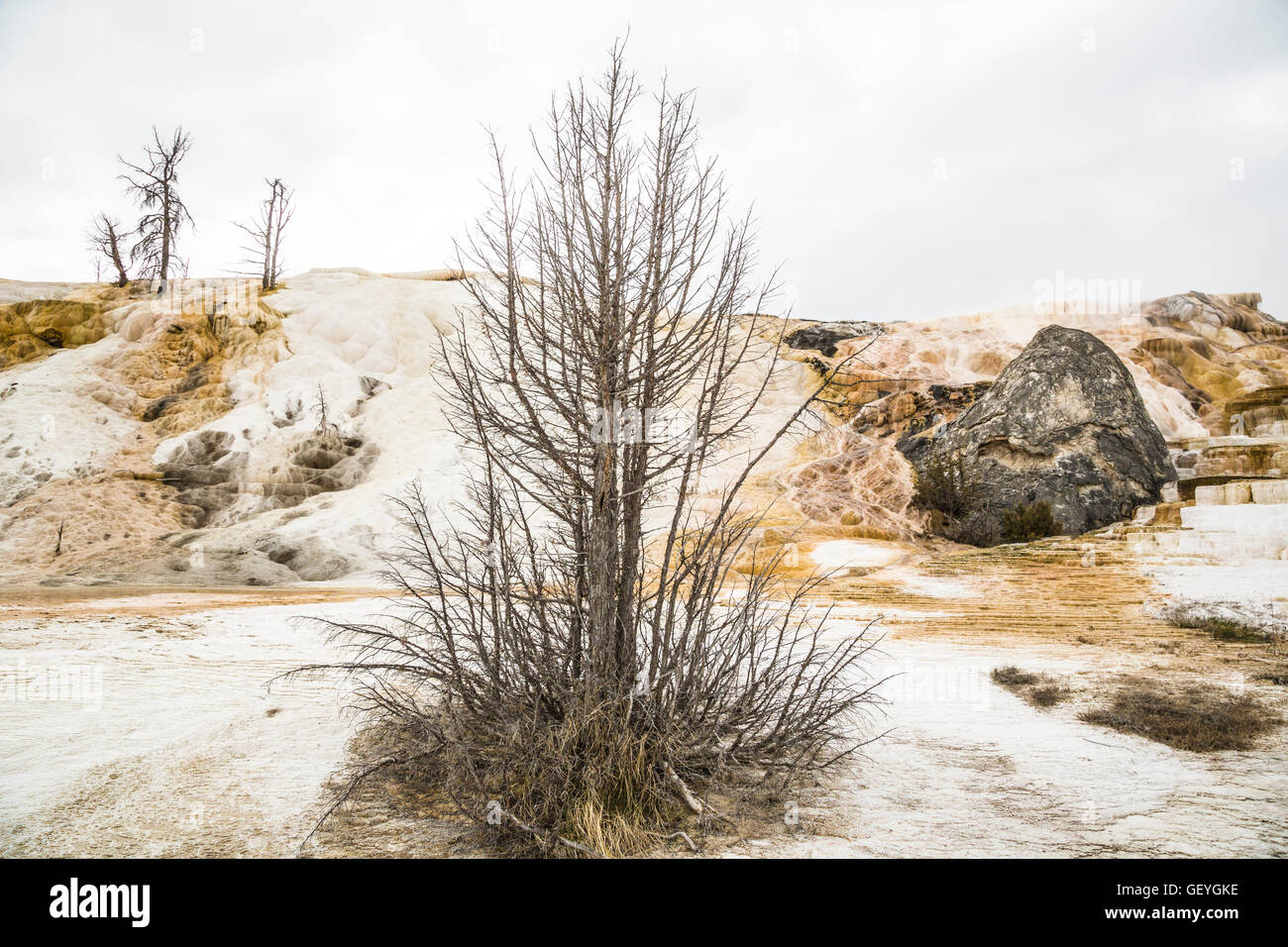 Terraces of rock formation in Yellowstone National Park Montana USA and ...