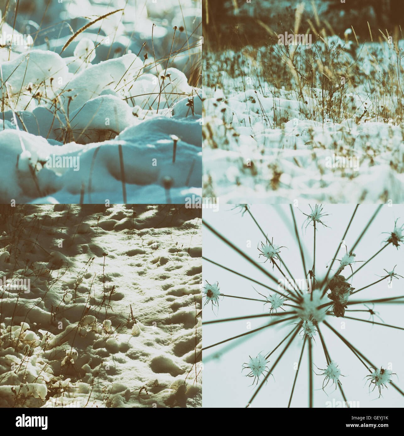 Late fall / cold evening in the forest / retro filter Stock Photo - Alamy