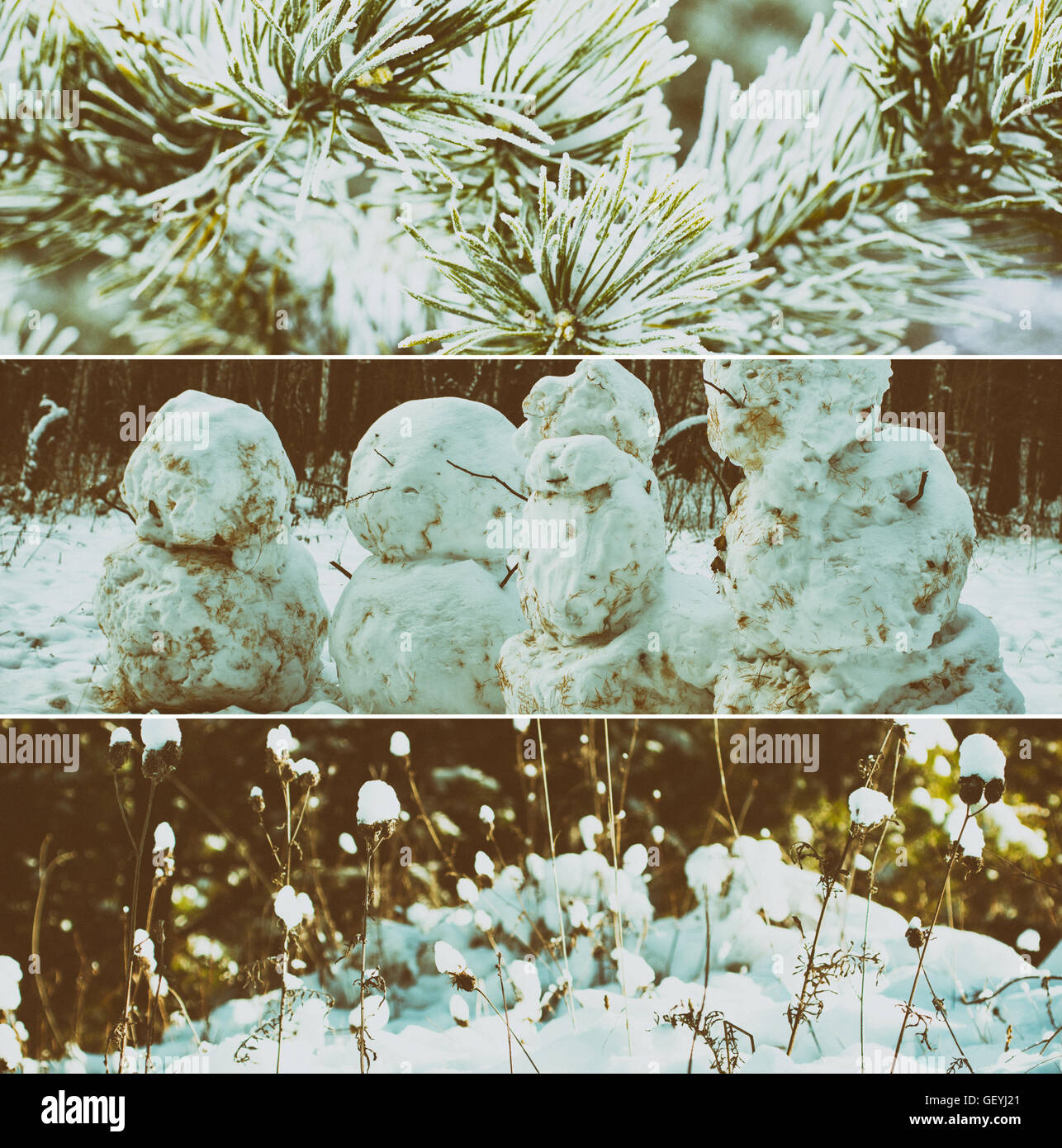 Late fall / cold evening in the forest / retro filter Stock Photo - Alamy