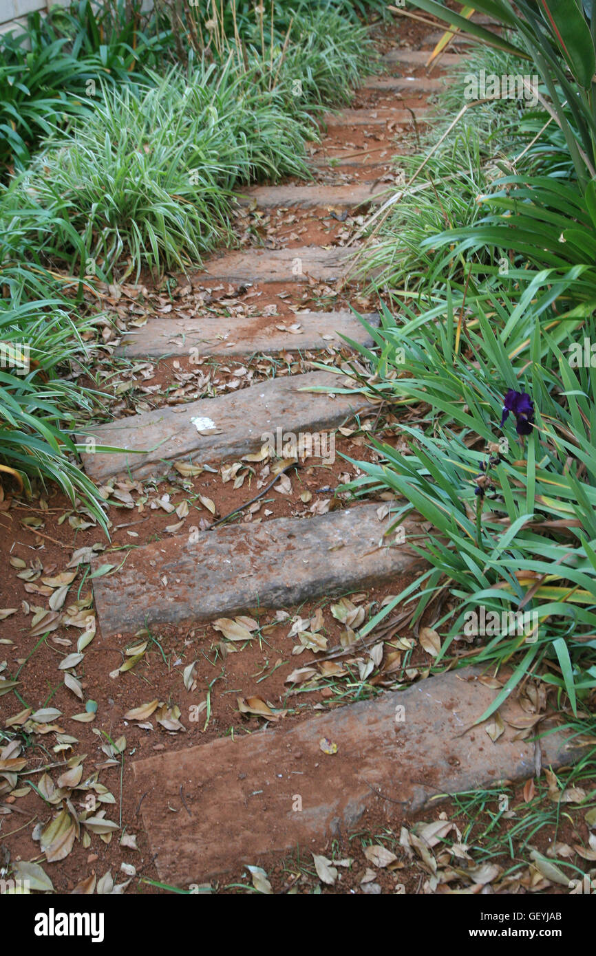Garden path, Pretoria, South Africa Stock Photo - Alamy