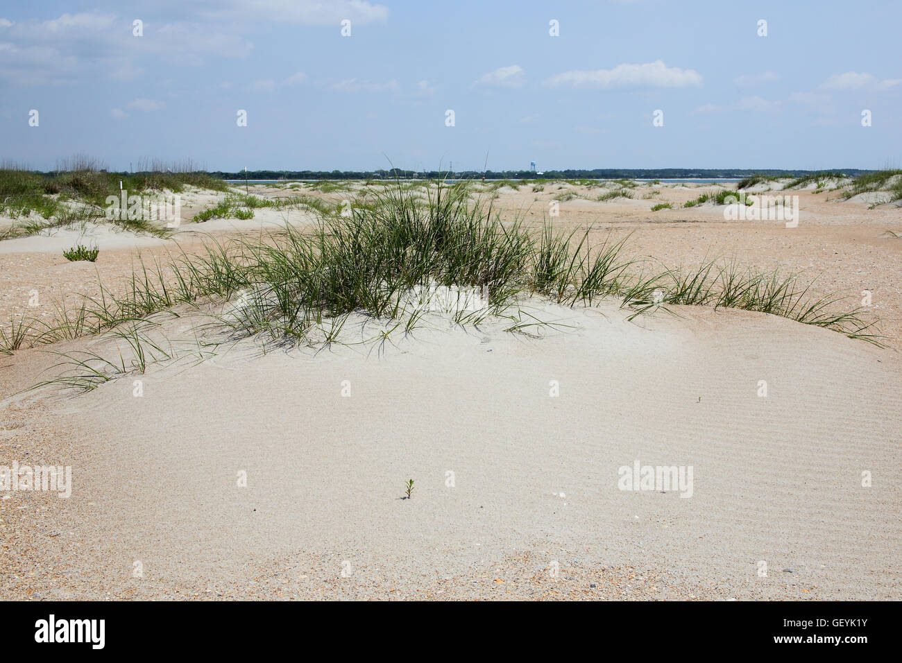 Beach and sand dunes with grass Stock Photo