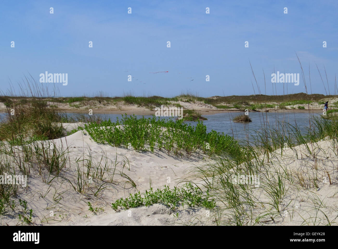 Sand dunes, grass , tide-pool with kites in the background Stock Photo