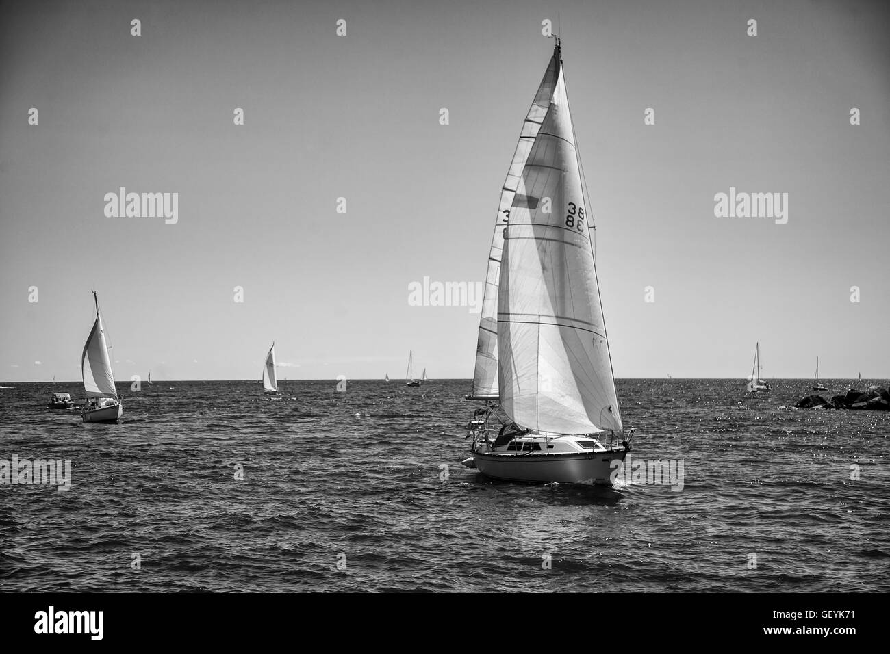 Black and White - Sail Boats Stock Photo - Alamy