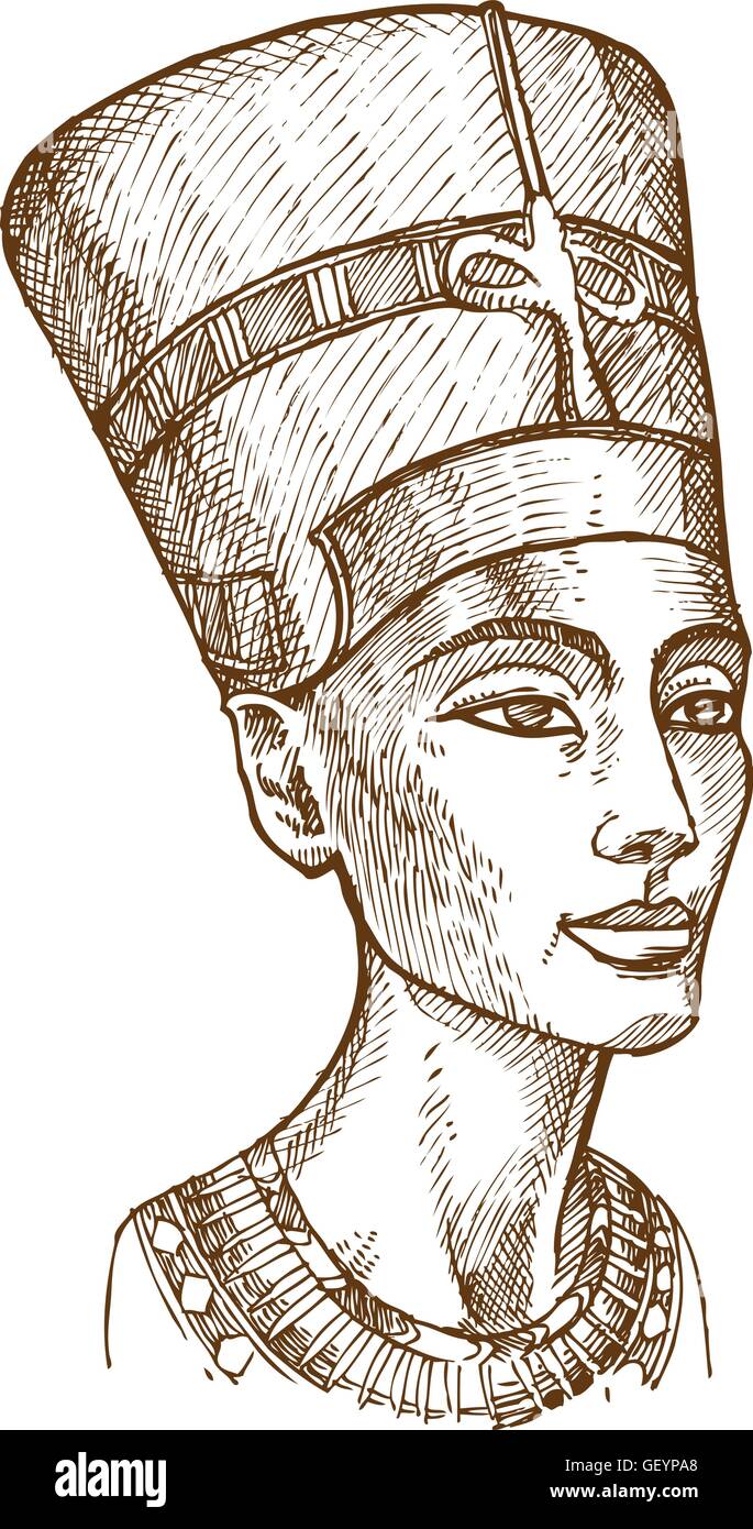 Bust of Nefertiti hand drawn Stock Vector Image & Art - Alamy