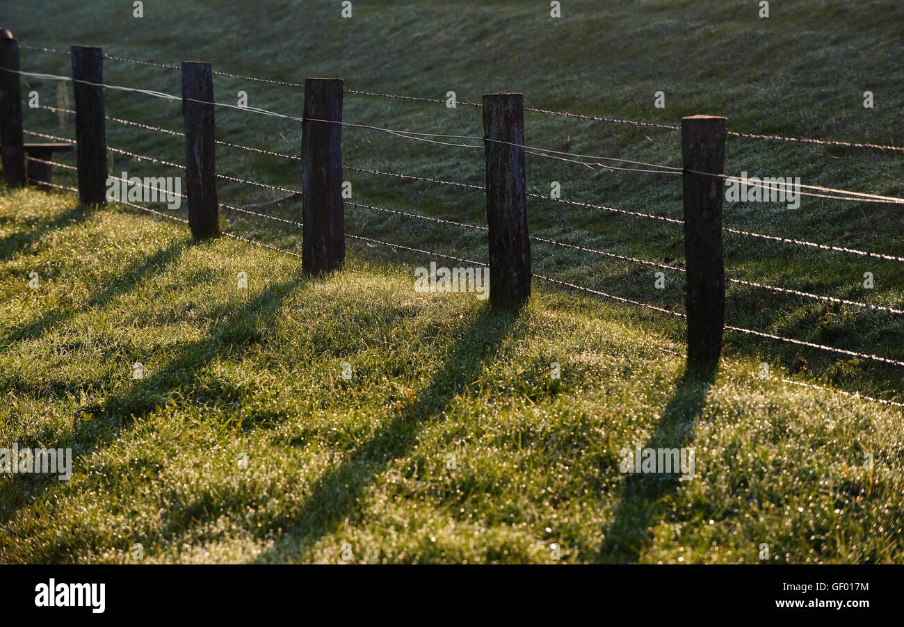 geography / travel, Germany, Schleswig-Holstein, Norderhafen, pasture fence, Stock Photo