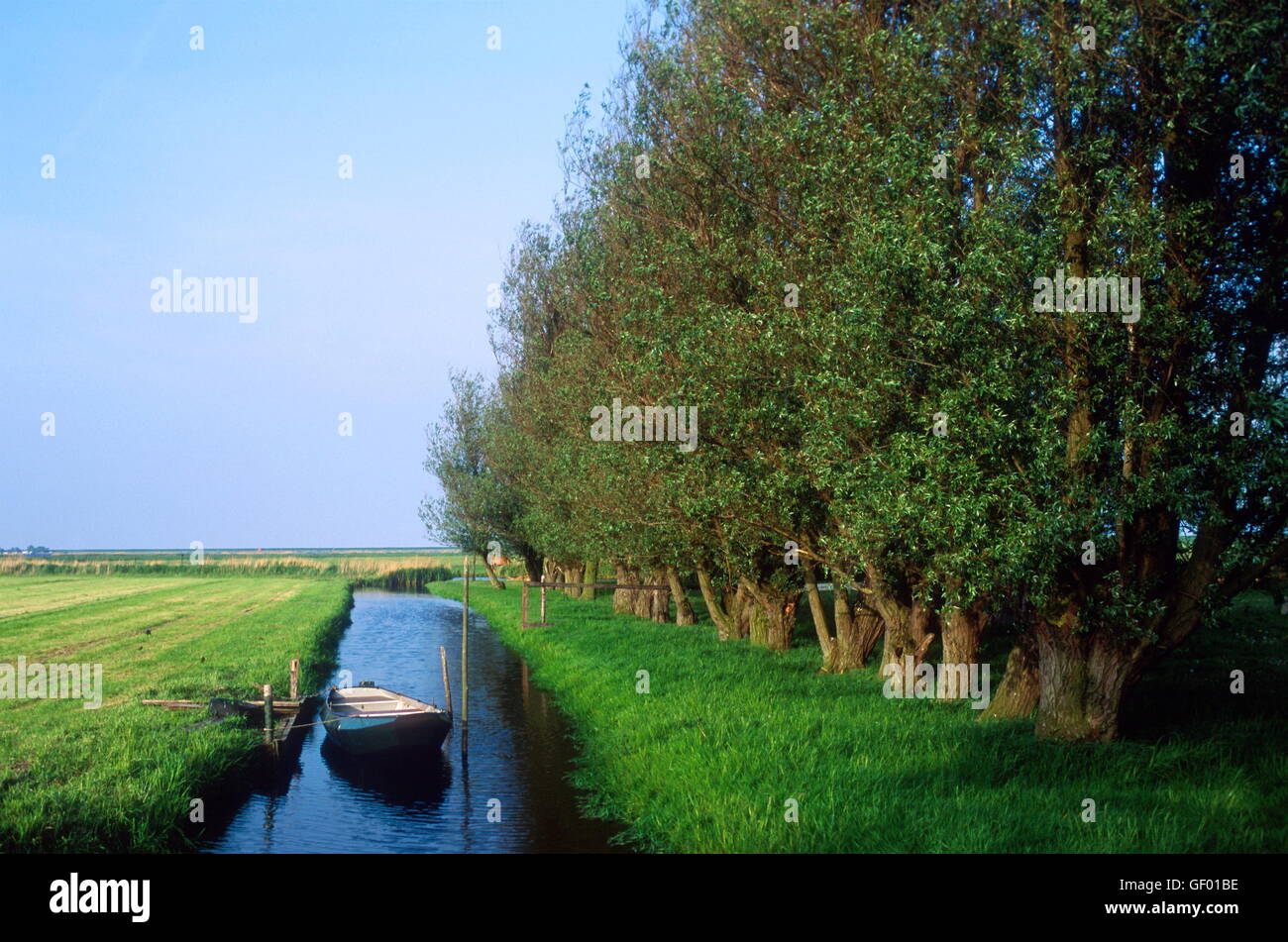 Polder Example Geography geography / travel, Netherlands, Krommenie, polder landscape with boat ...