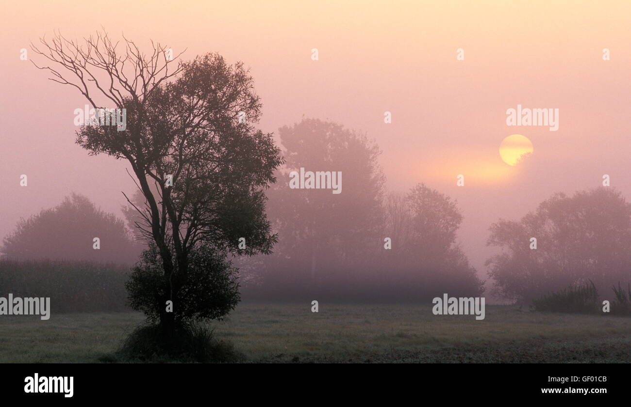geography / travel, Austria, Burgenland, Lafnitztal (Lafnitz Valley), sunrise and fog, Stock Photo