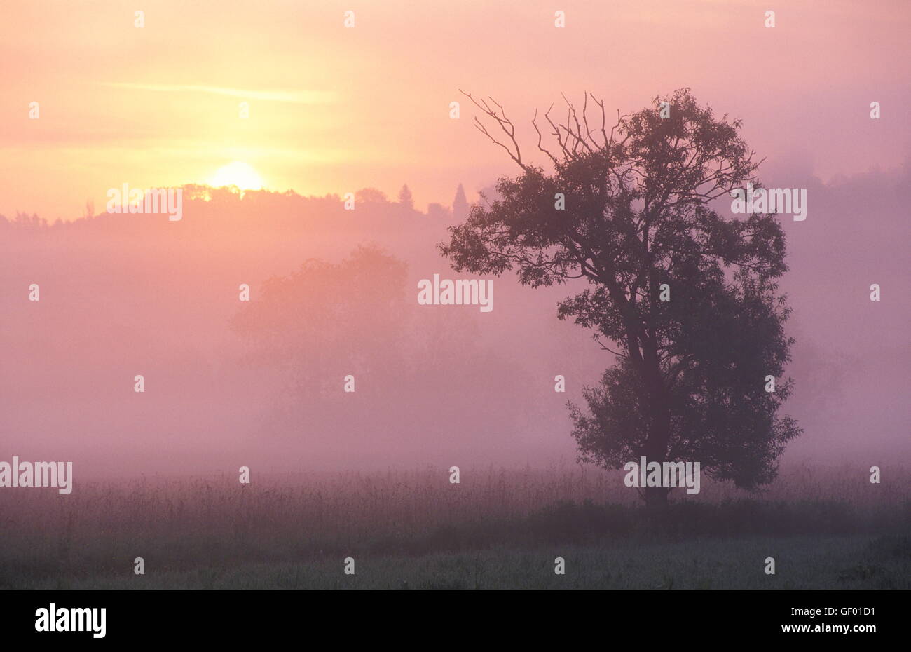 geography / travel, Austria, Burgenland, sunrise and fog at Lafnitztal (Lafnitz Valley), Stock Photo
