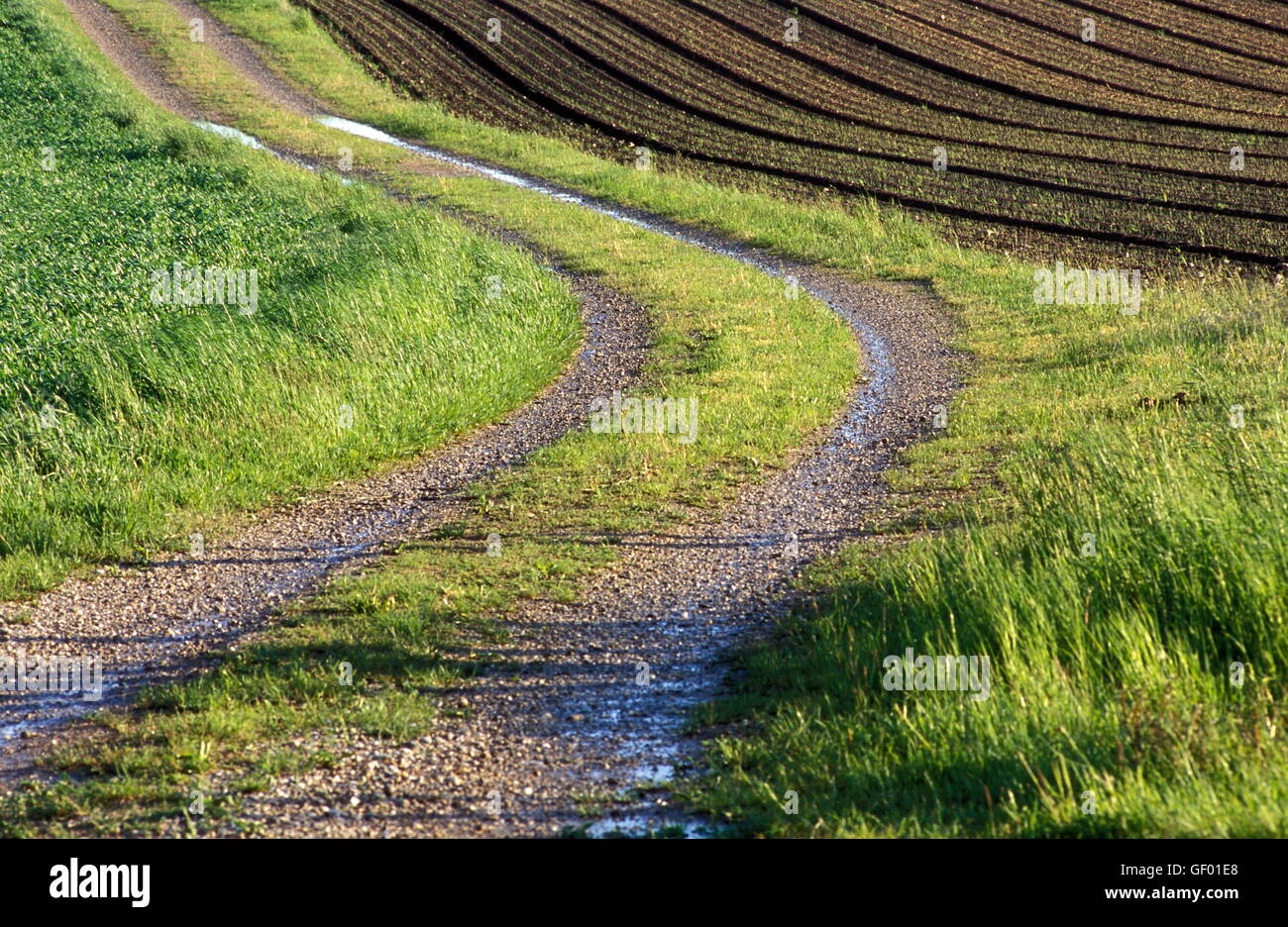geography / travel, Austria, Lower Austria, cart track with traces of water, Stock Photo