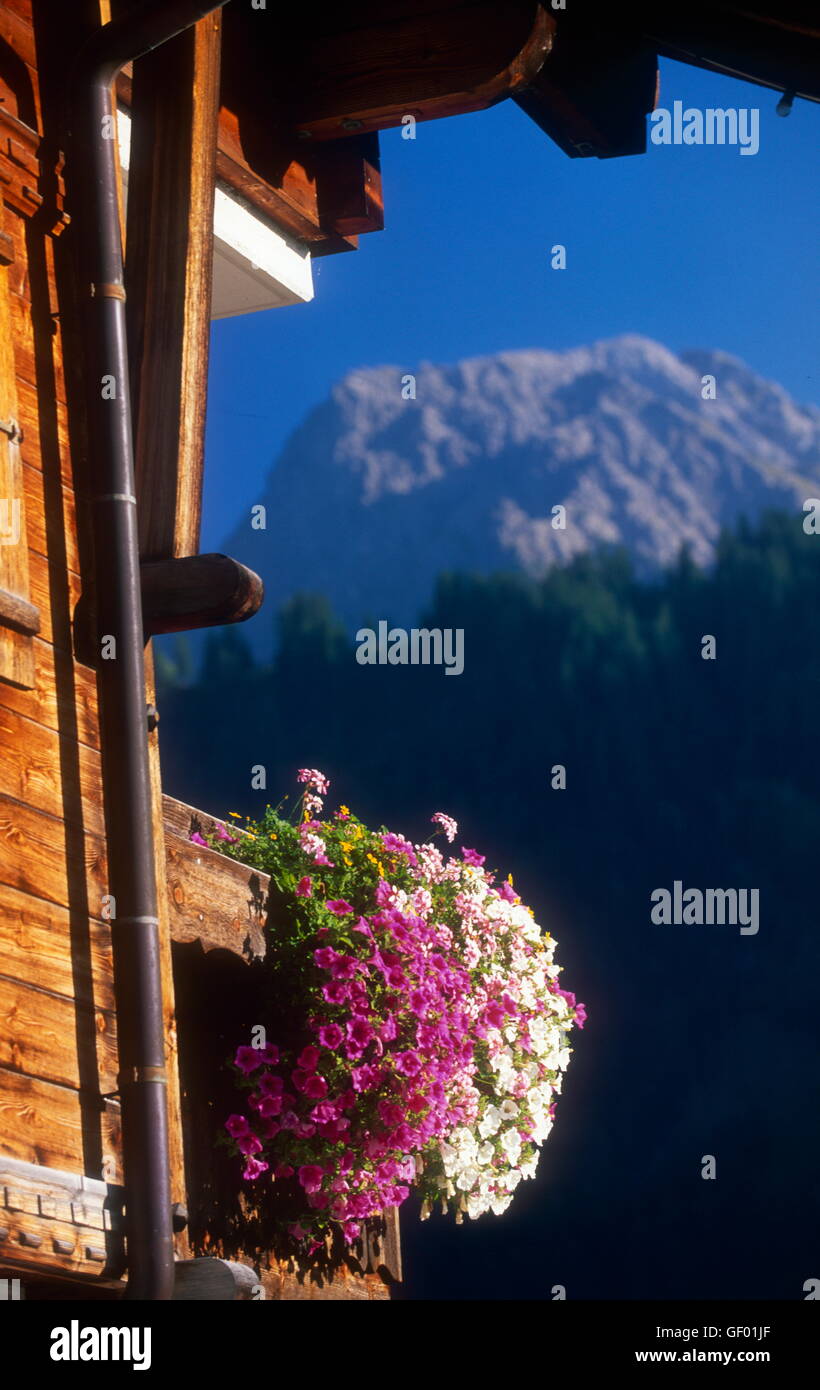geography / travel, Austria, Vorarlberg, Schoppernau, wooden house with balcony and floral decoration, Stock Photo