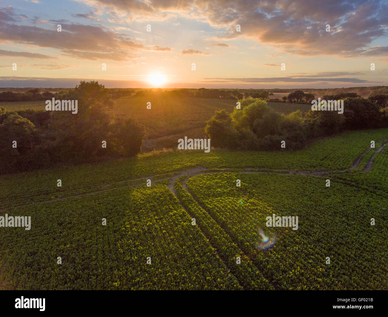 Johnsons Farm (Highbury Field) Leiston Suffolk Aerial Stock Photo Alamy