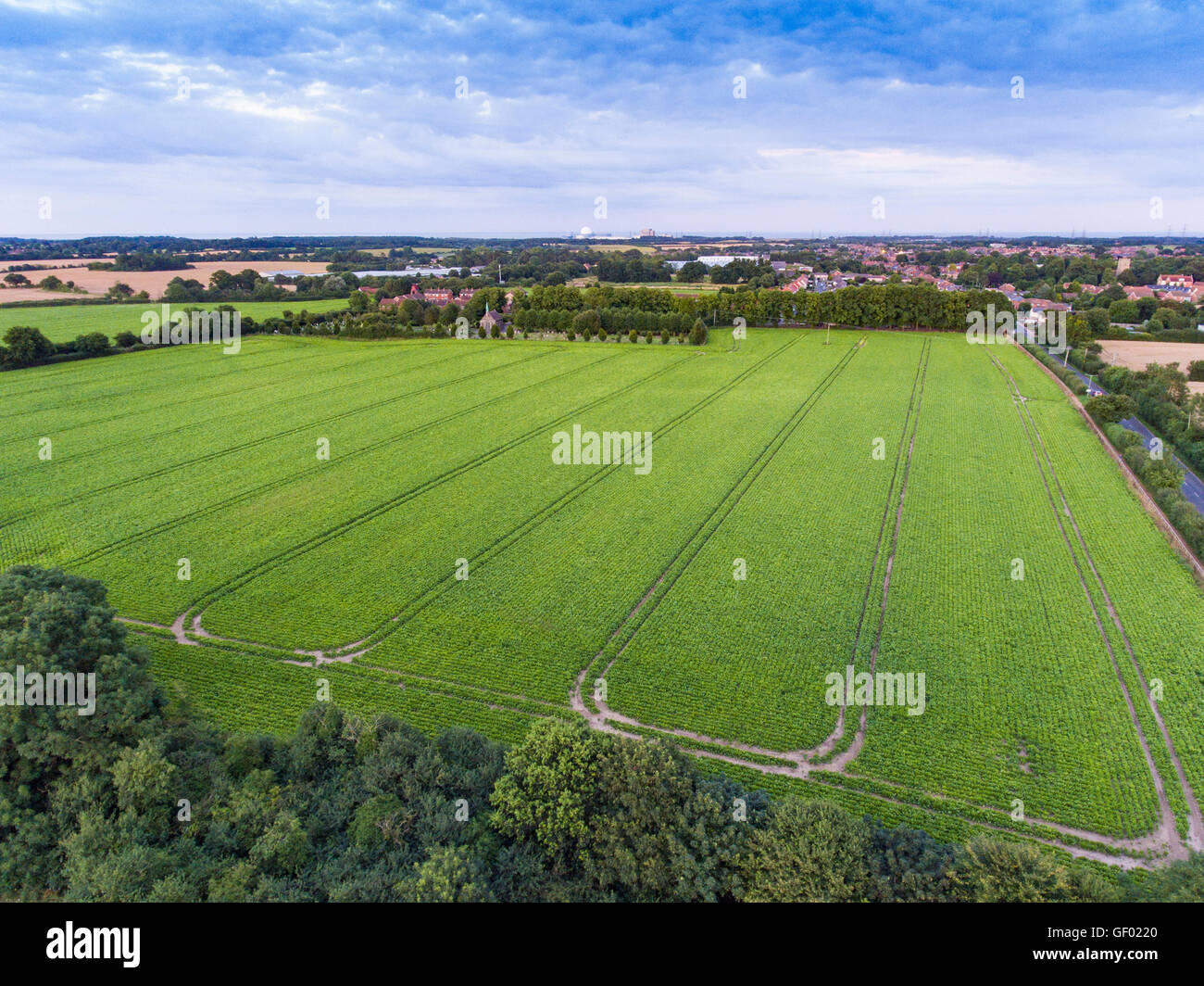 Johnsons Farm (Highbury Field) Leiston Suffolk Aerial Stock Photo Alamy