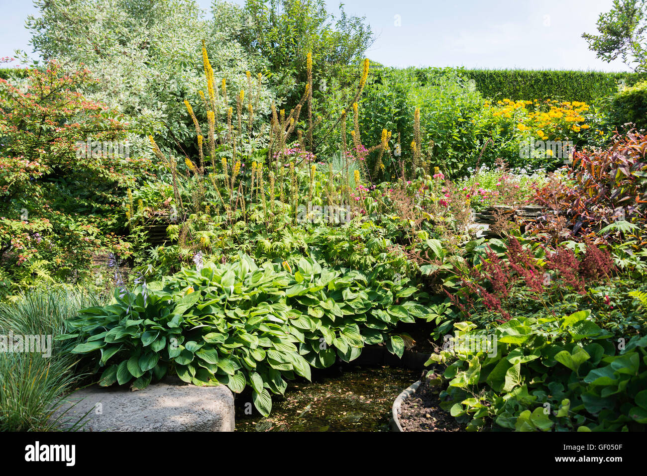 Garden of wild flowers hi-res stock photography and images - Alamy