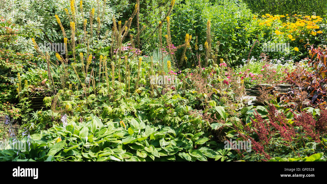 Garden of wild flowers hi-res stock photography and images - Alamy