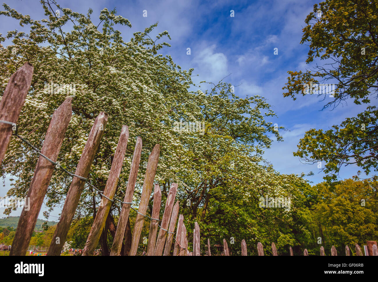 Close up of an old wooden fence Stock Photo - Alamy