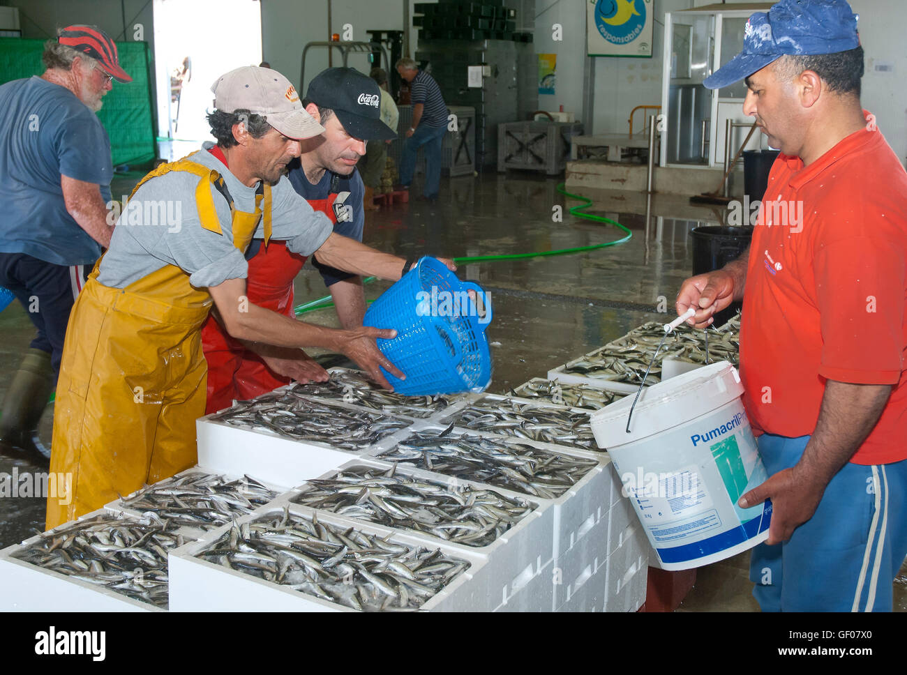 Fishing port, Punta Umbria, Huelva province, Region of Andalusia, Spain, Europe Stock Photo