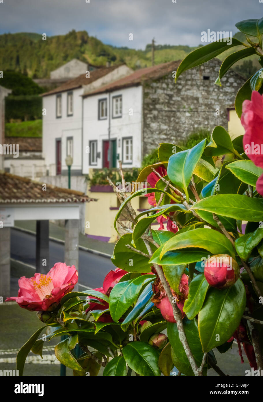 Traditional homes in Furnas town, which lies in the volacano crater