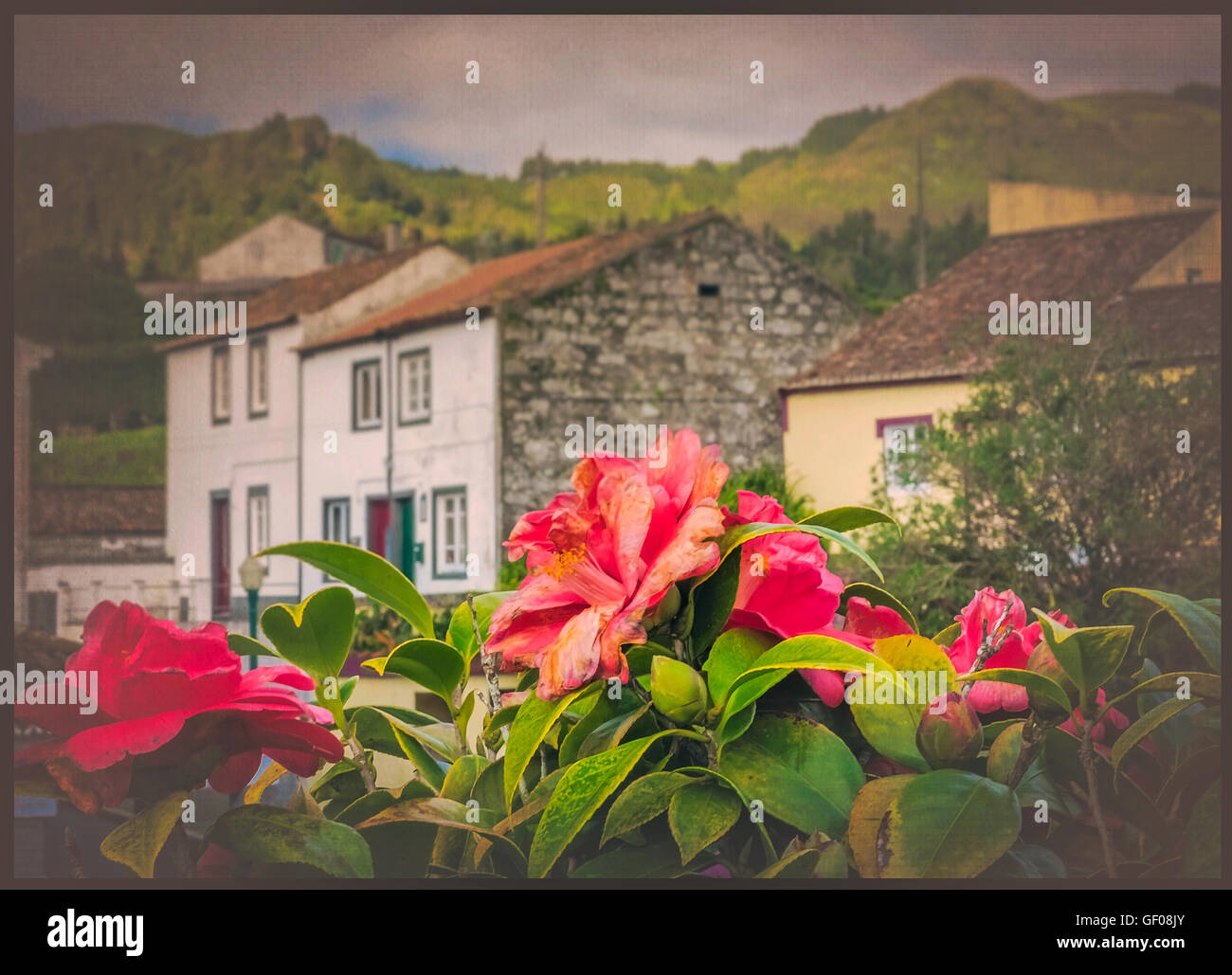 Traditional homes in Furnas town, which lies in the volacano crater