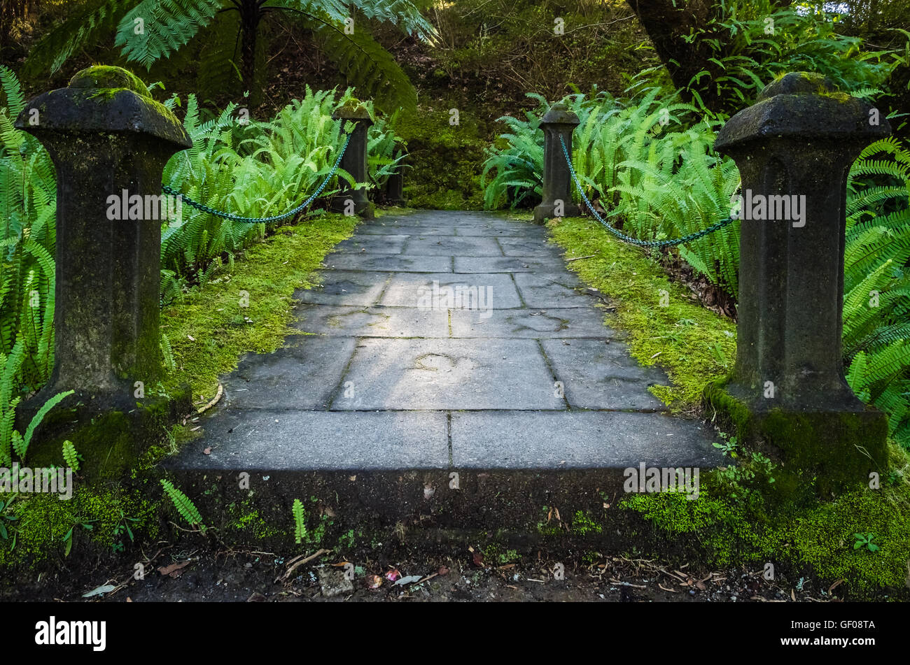 Small bridge in The Terra Nostra Garden in Furnas,  on Sao Miguel island, Azores, Portugal Stock Photo