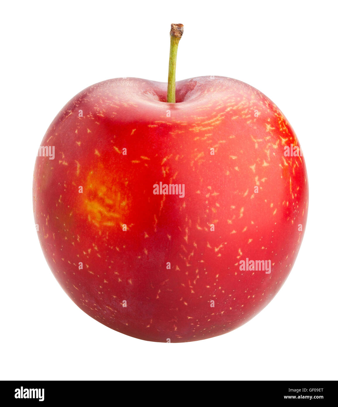 red plums isolated Stock Photo