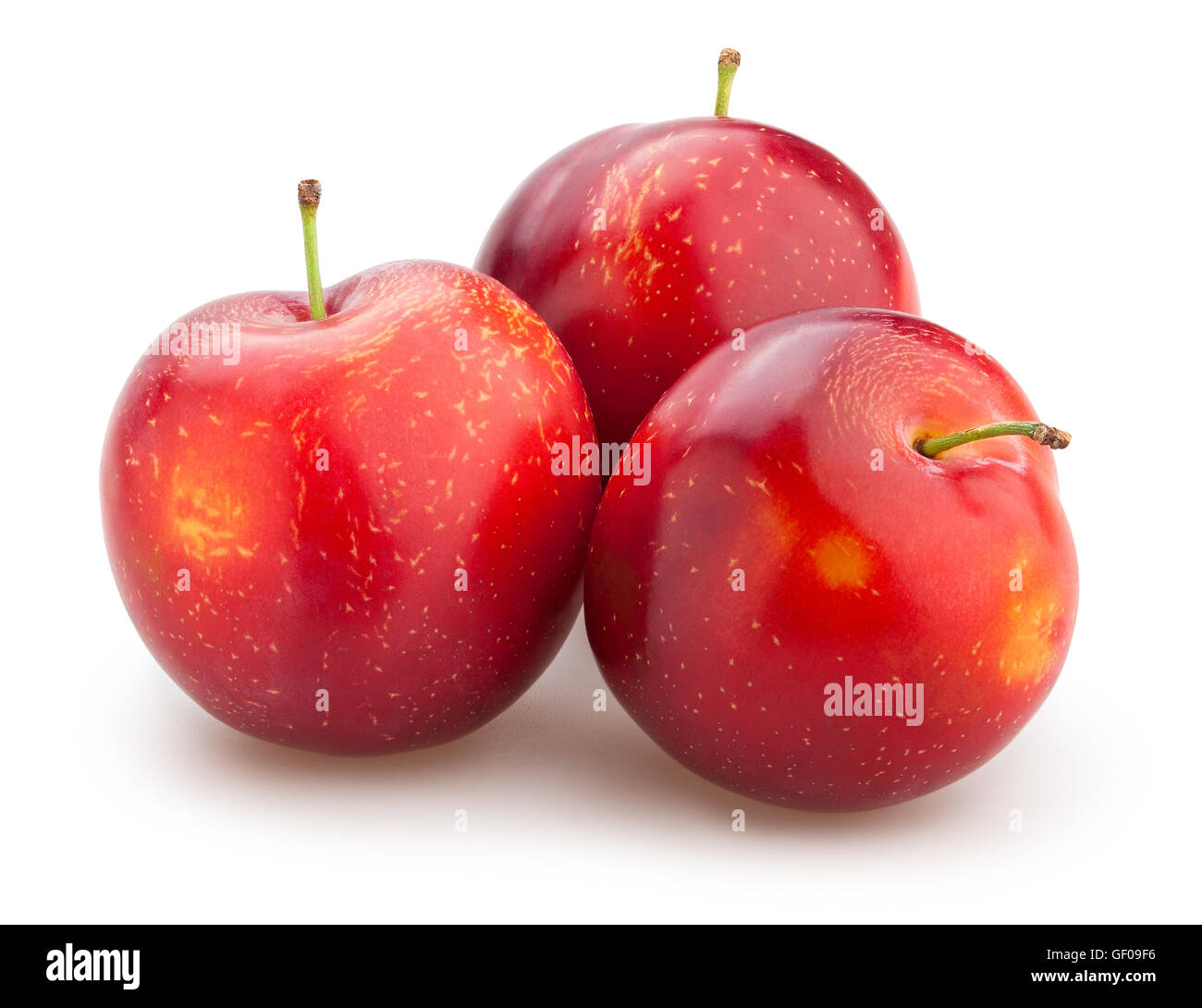 red plums isolated Stock Photo