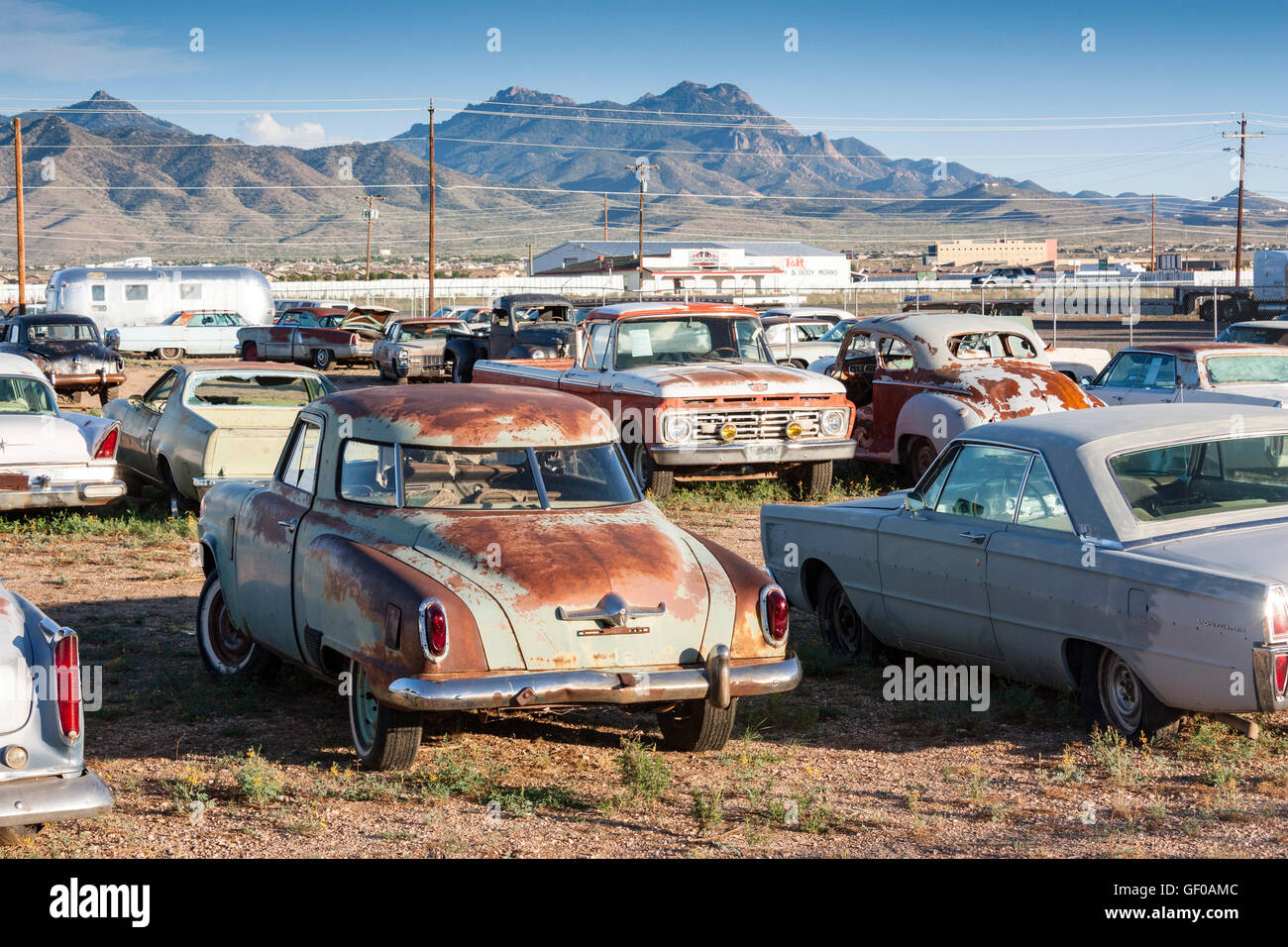 rusty classic american 1951 Studebaker Commander car in a junkyard near